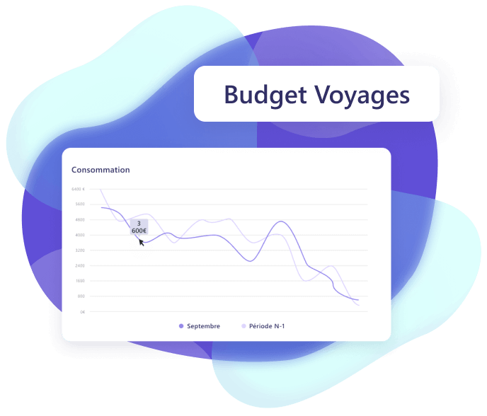 gestion-budget-voyage-agence-pro